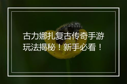 古力娜扎复古传奇手游玩法揭秘！新手必看！