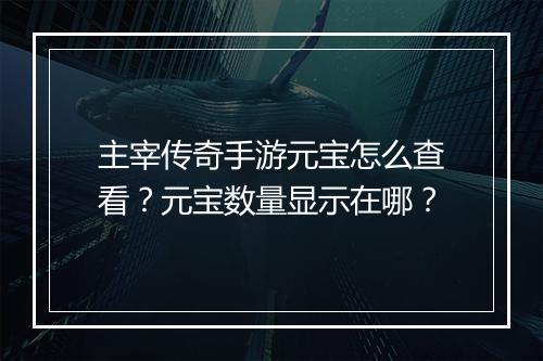 主宰传奇手游元宝怎么查看？元宝数量显示在哪？
