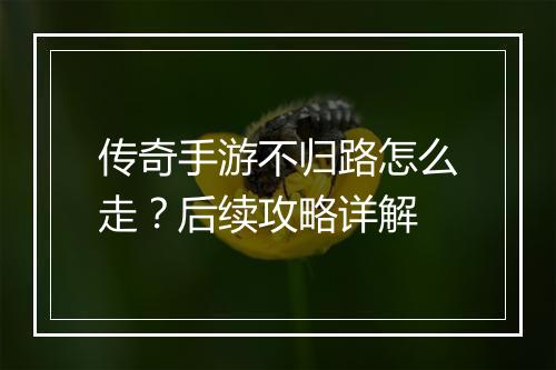 传奇手游不归路怎么走？后续攻略详解