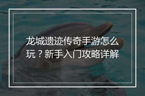 龙城遗迹传奇手游怎么玩？新手入门攻略详解