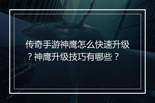 传奇手游神鹰怎么快速升级？神鹰升级技巧有哪些？
