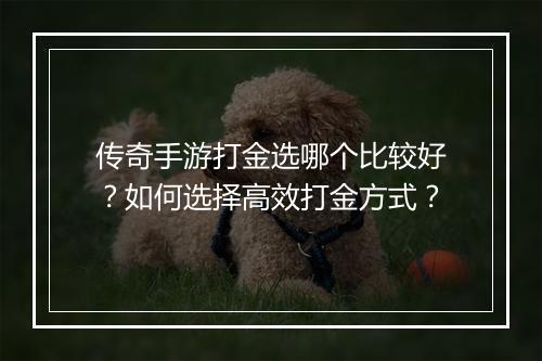 传奇手游打金选哪个比较好？如何选择高效打金方式？