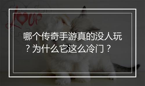 哪个传奇手游真的没人玩？为什么它这么冷门？