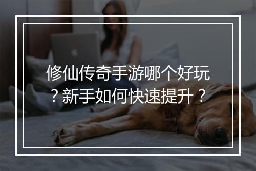修仙传奇手游哪个好玩？新手如何快速提升？