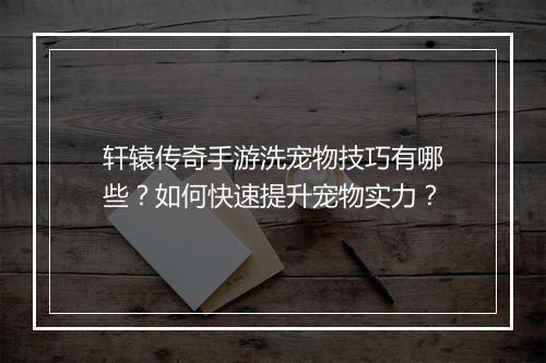轩辕传奇手游洗宠物技巧有哪些？如何快速提升宠物实力？