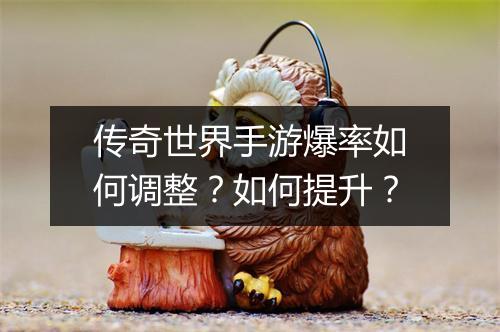 传奇世界手游爆率如何调整？如何提升？