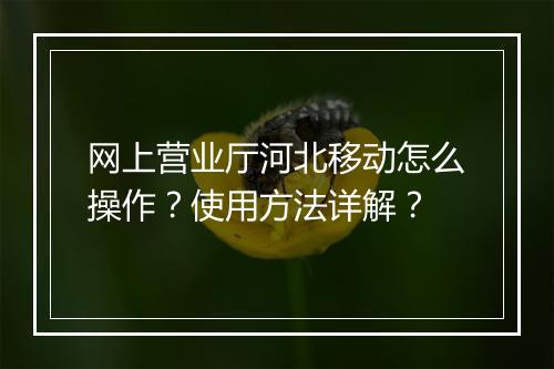 网上营业厅河北移动怎么操作？使用方法详解？