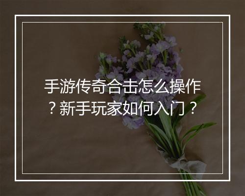 手游传奇合击怎么操作？新手玩家如何入门？