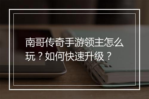 南哥传奇手游领主怎么玩？如何快速升级？