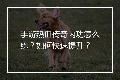手游热血传奇内功怎么练？如何快速提升？