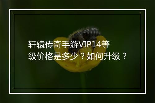 轩辕传奇手游VIP14等级价格是多少？如何升级？