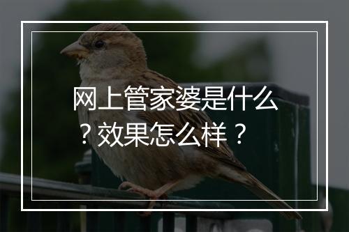 网上管家婆是什么？效果怎么样？
