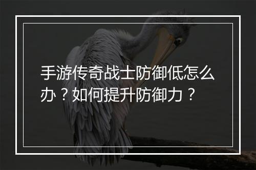 手游传奇战士防御低怎么办？如何提升防御力？