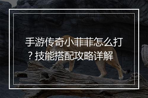 手游传奇小菲菲怎么打？技能搭配攻略详解