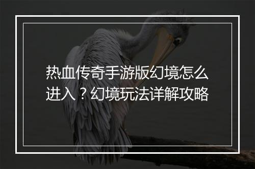 热血传奇手游版幻境怎么进入？幻境玩法详解攻略