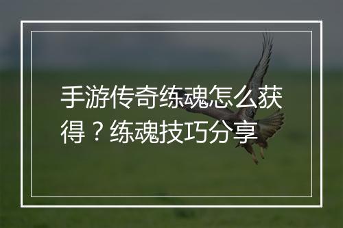 手游传奇练魂怎么获得？练魂技巧分享