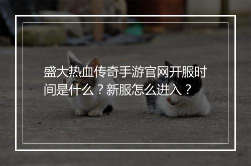 盛大热血传奇手游官网开服时间是什么？新服怎么进入？