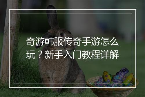 奇游韩服传奇手游怎么玩？新手入门教程详解