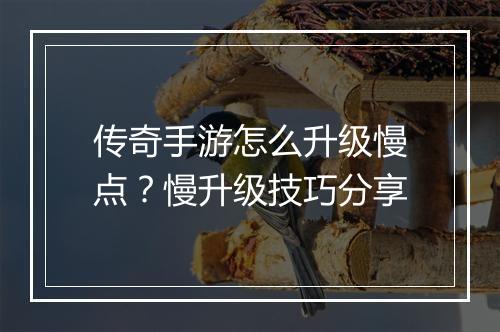 传奇手游怎么升级慢点？慢升级技巧分享