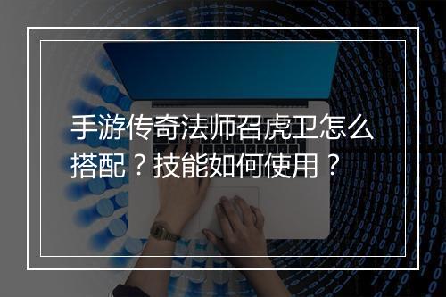 手游传奇法师召虎卫怎么搭配？技能如何使用？