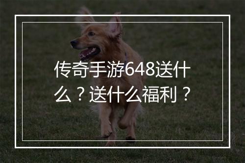 传奇手游648送什么？送什么福利？