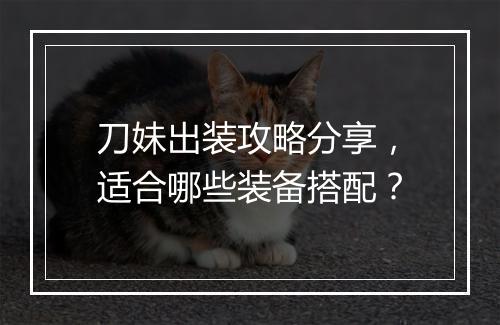 刀妹出装攻略分享，适合哪些装备搭配？