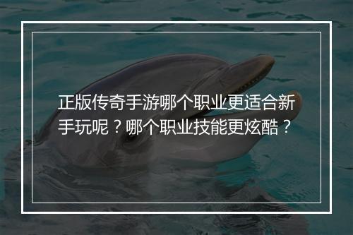 正版传奇手游哪个职业更适合新手玩呢？哪个职业技能更炫酷？