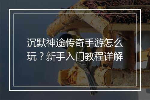 沉默神途传奇手游怎么玩？新手入门教程详解