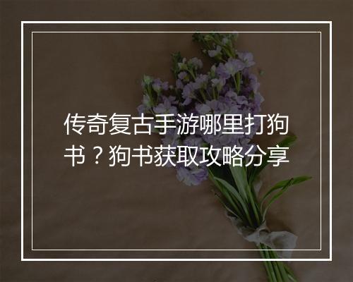 传奇复古手游哪里打狗书？狗书获取攻略分享