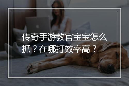 传奇手游教官宝宝怎么抓？在哪打效率高？
