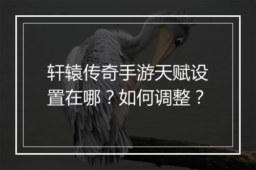 轩辕传奇手游天赋设置在哪？如何调整？