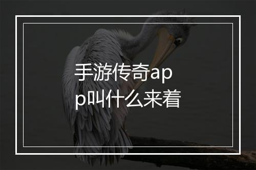 手游传奇app叫什么来着