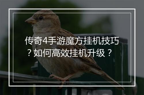 传奇4手游魔方挂机技巧？如何高效挂机升级？