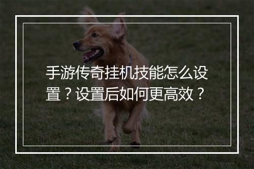 手游传奇挂机技能怎么设置？设置后如何更高效？