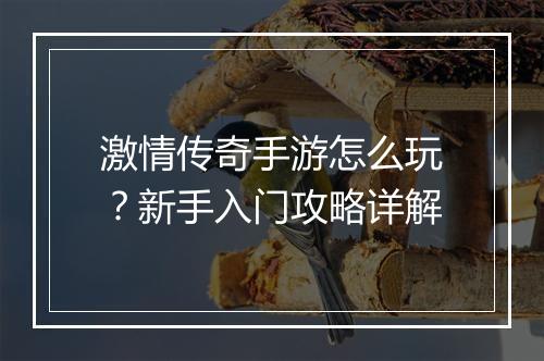 激情传奇手游怎么玩？新手入门攻略详解