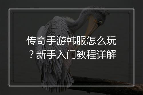 传奇手游韩服怎么玩？新手入门教程详解