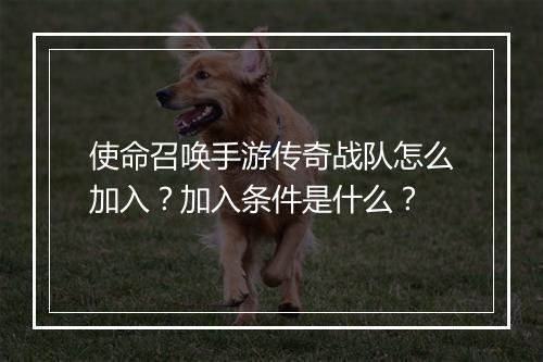 使命召唤手游传奇战队怎么加入？加入条件是什么？