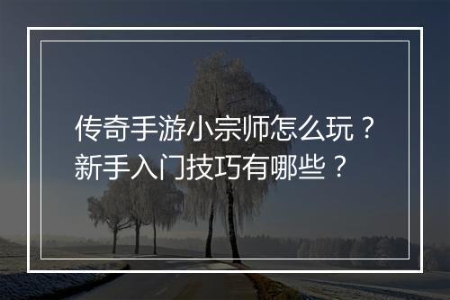 传奇手游小宗师怎么玩？新手入门技巧有哪些？