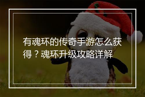 有魂环的传奇手游怎么获得？魂环升级攻略详解