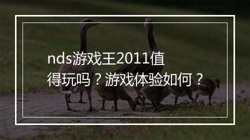 nds游戏王2011值得玩吗？游戏体验如何？