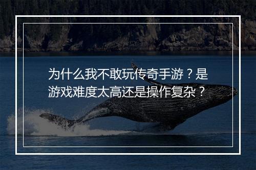 为什么我不敢玩传奇手游？是游戏难度太高还是操作复杂？