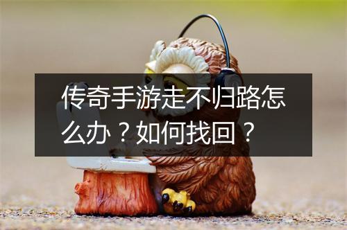 传奇手游走不归路怎么办？如何找回？
