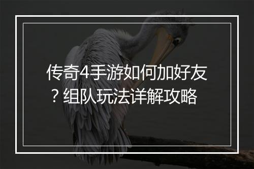 传奇4手游如何加好友？组队玩法详解攻略
