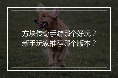 方块传奇手游哪个好玩？新手玩家推荐哪个版本？