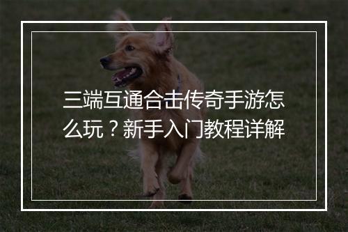 三端互通合击传奇手游怎么玩？新手入门教程详解