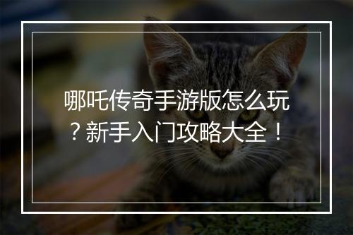 哪吒传奇手游版怎么玩？新手入门攻略大全！