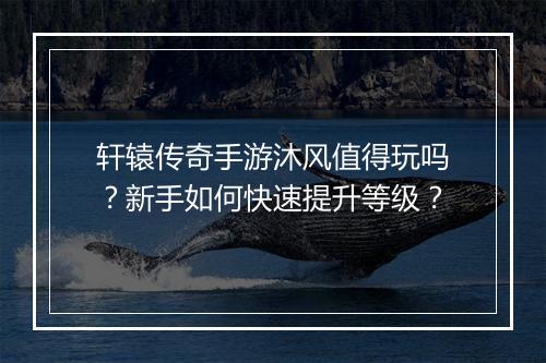 轩辕传奇手游沐风值得玩吗？新手如何快速提升等级？