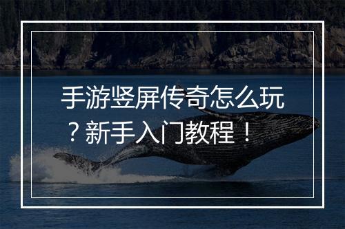 手游竖屏传奇怎么玩？新手入门教程！