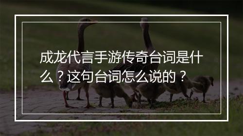 成龙代言手游传奇台词是什么？这句台词怎么说的？