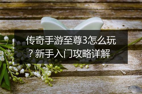 传奇手游至尊3怎么玩？新手入门攻略详解